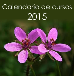 Calendario de cursos de Flores de Bach 2015